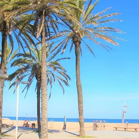 Refuge In Barcelona Lägenhet *