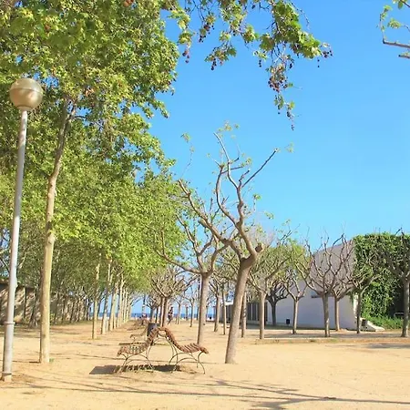 Refuge In Barcelona *
